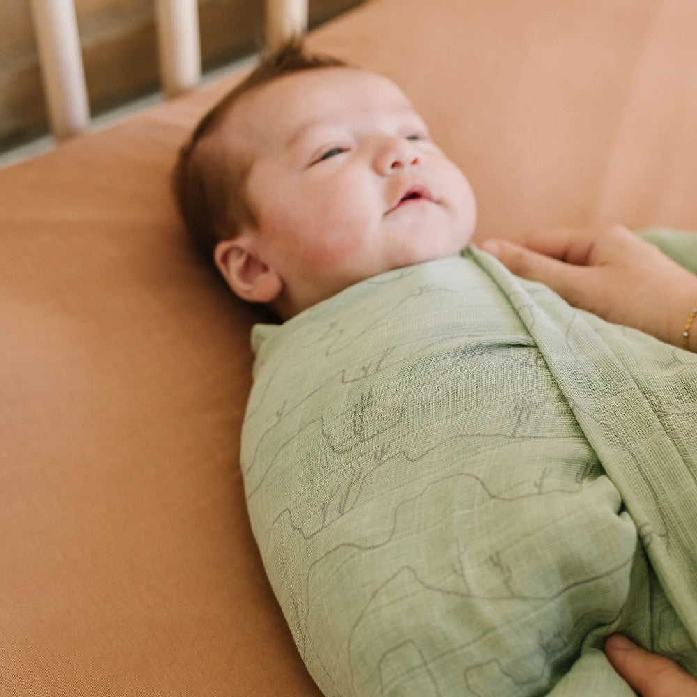 Little Unicorn Single Cotton Muslin Swaddle - Cactus Lines