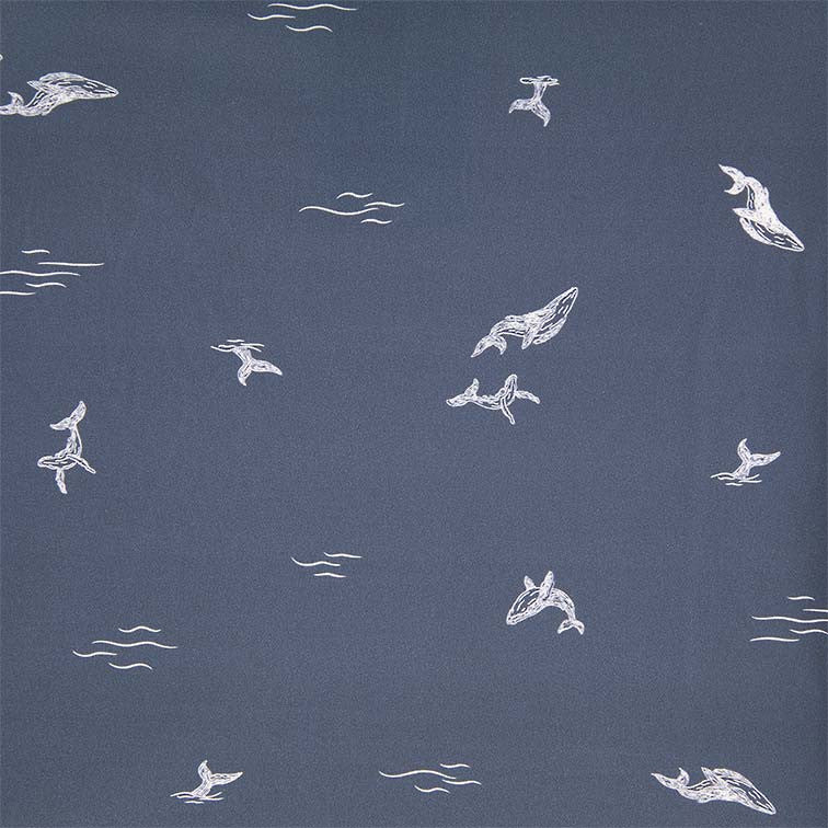 Toshi | Swim Onesie Long Sleeve | Whale