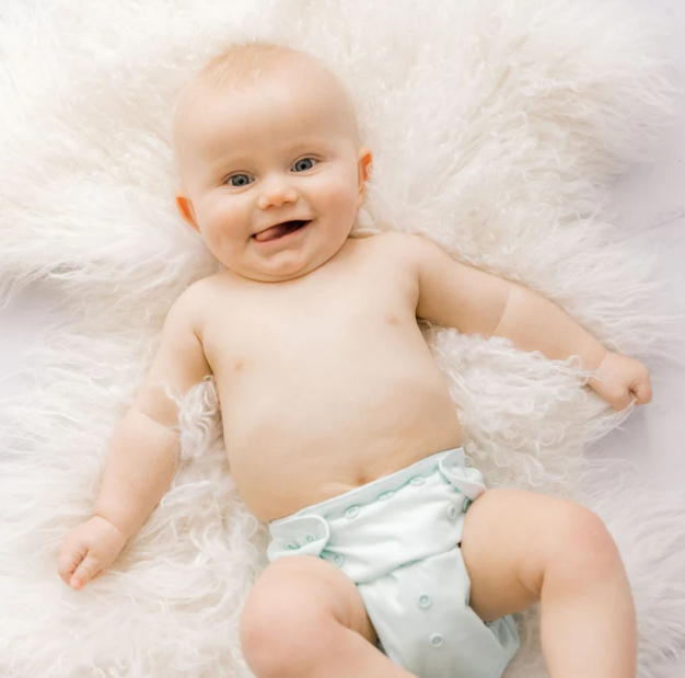 Bear & Moo | Reusable Cloth Nappy | Suede Cloth