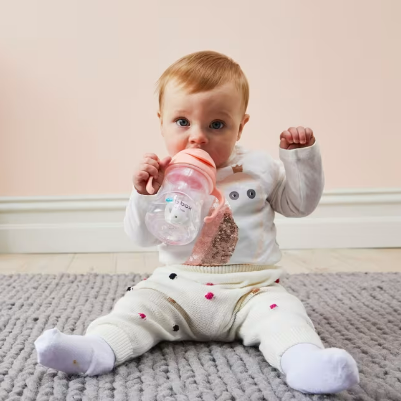 B.BOX Sippy Cup V2 Blush