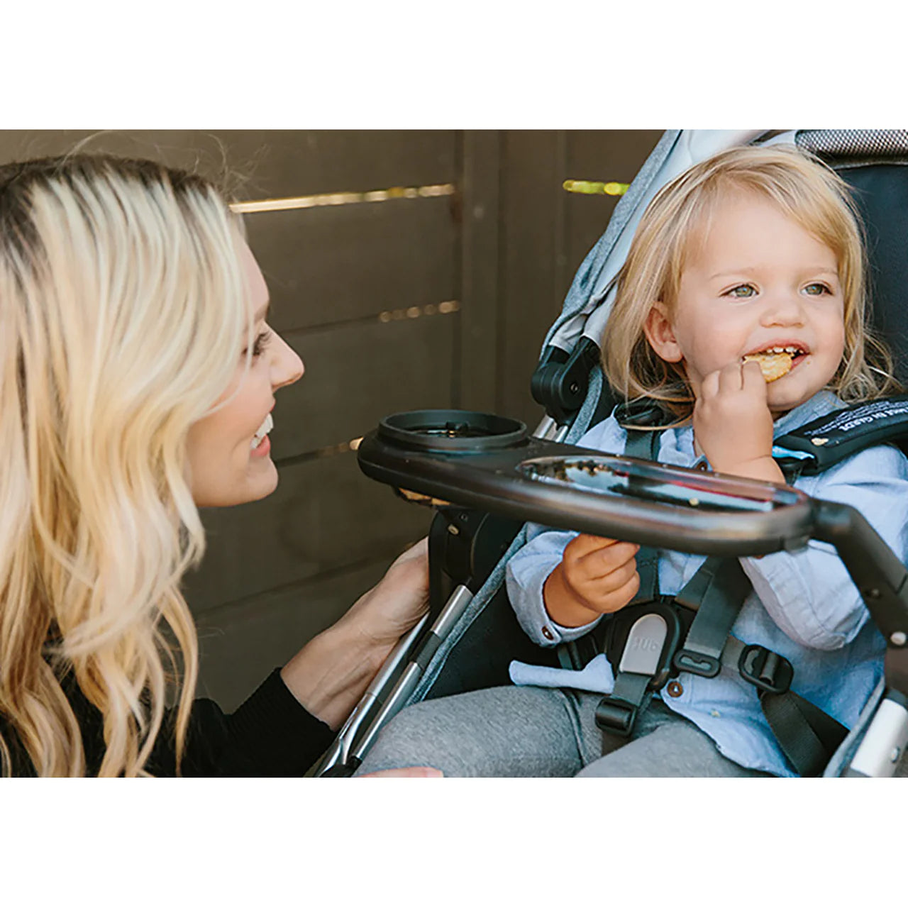 UPPAbaby VISTA or CRUZ Snack Tray