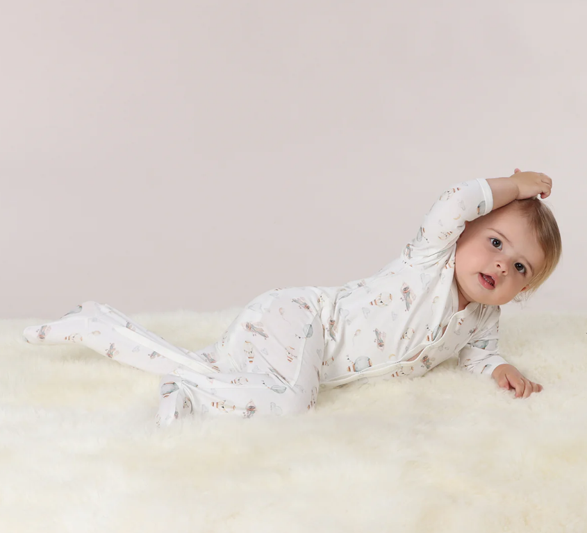 Little Bee | Cotton Babygrow | Plane | Newborn