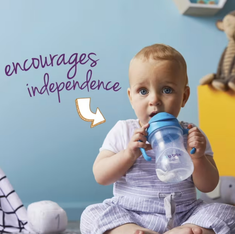 B.BOX Sippy Cup V2 Blueberry