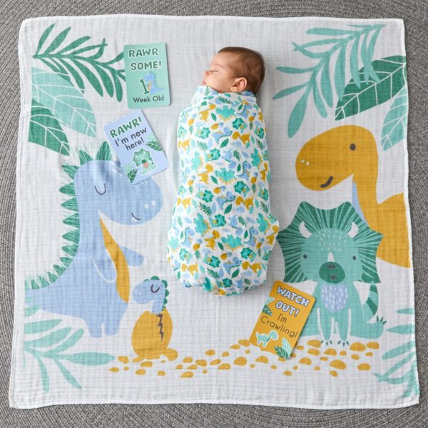 Jiggle & Giggle | Dinosaurs Milestone Muslin Set in Gift Box