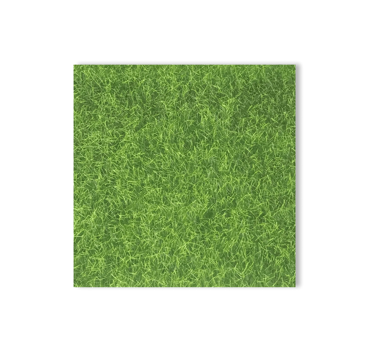 Fairy | Grass Glade