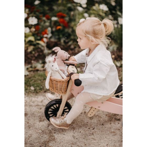Kinderfeets | Tiny Tots Plus | Rose | Bike